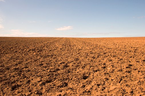 Empty Field Pictures | Download Free Images on Unsplash