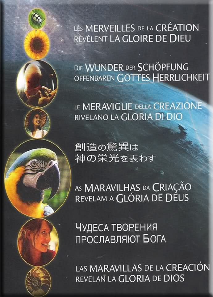 DVD 2