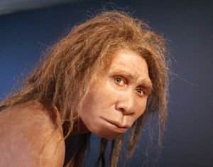 Homo erectus georgicus