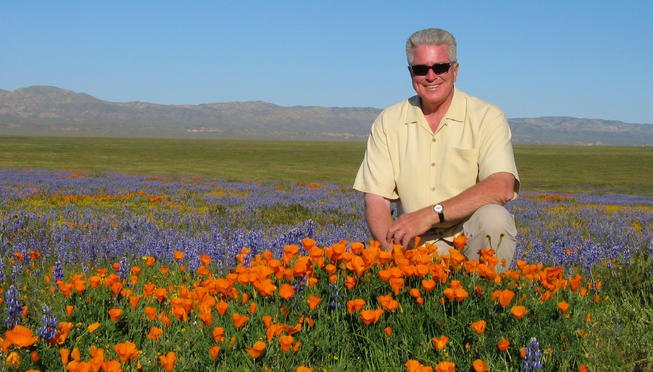 Huell Howser poppies