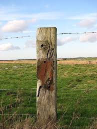 Image result for fence post