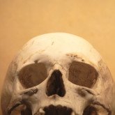 Death of loved ones is a powerful inducement