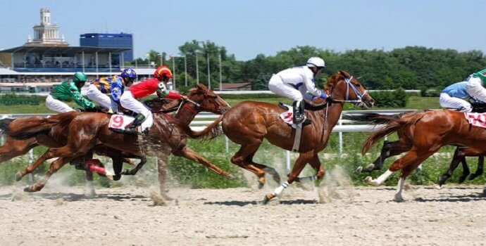 Horse Racing Track