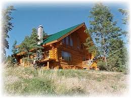 Image result for log home on mountain