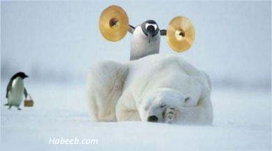 funnyphoto1238.jpg picture by GeneralWaco