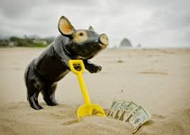 Image result for hiding the money offshore